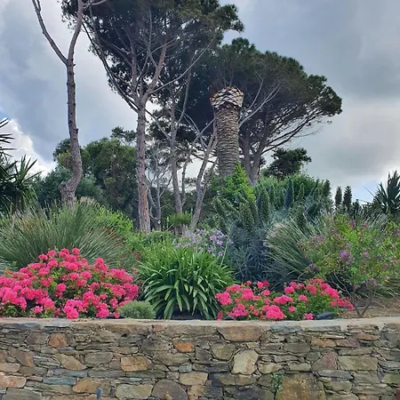 Villa Eole Face A La Mer, Les Pieds Dans L'eau Macinaggio (Corsica)